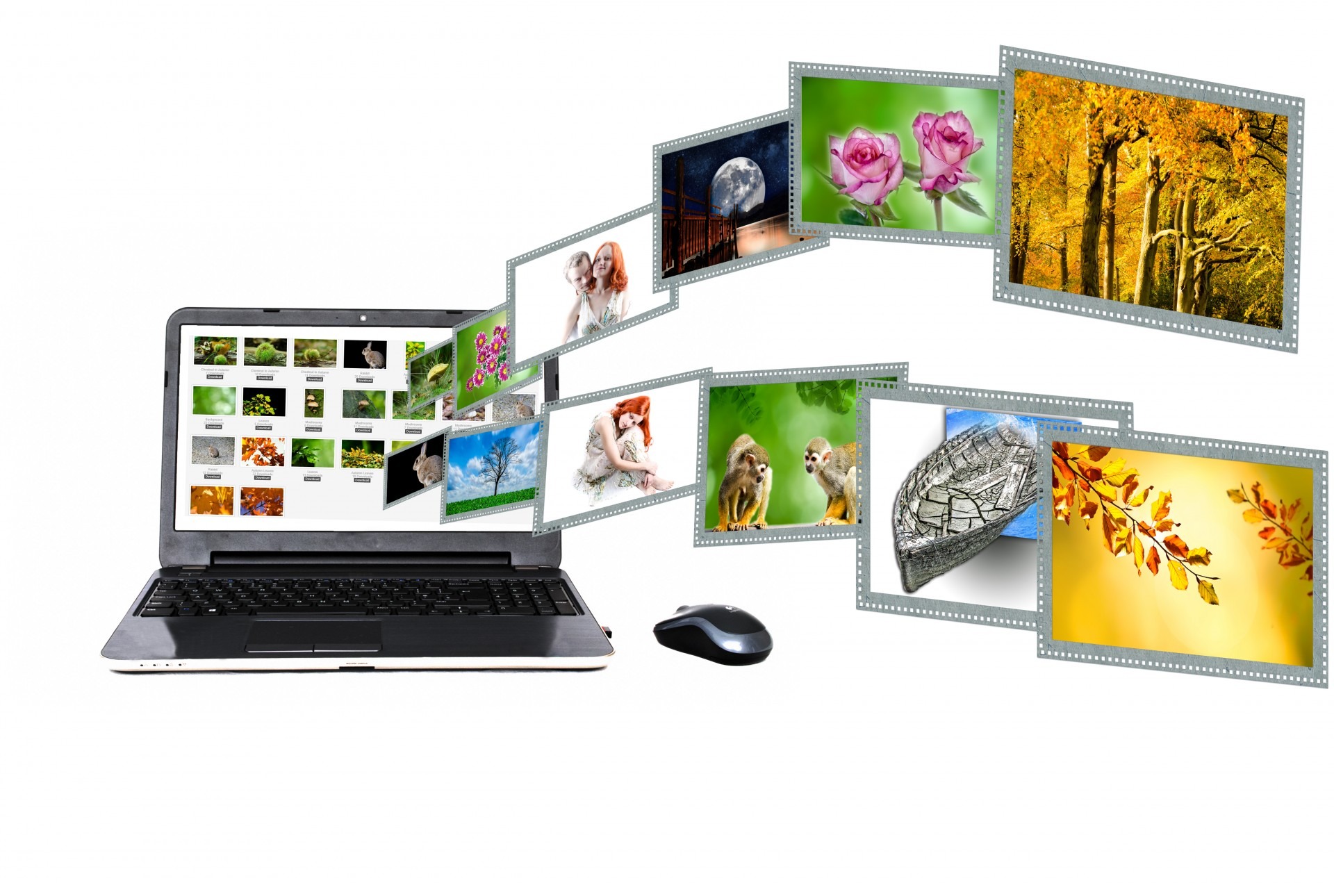 Tips to Boost Your Website's Conversion Rate Using Images